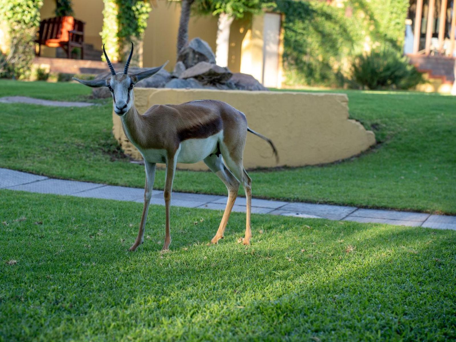 Sunriver Kalahari Lodge Riverside Stay In Upington Exterior foto